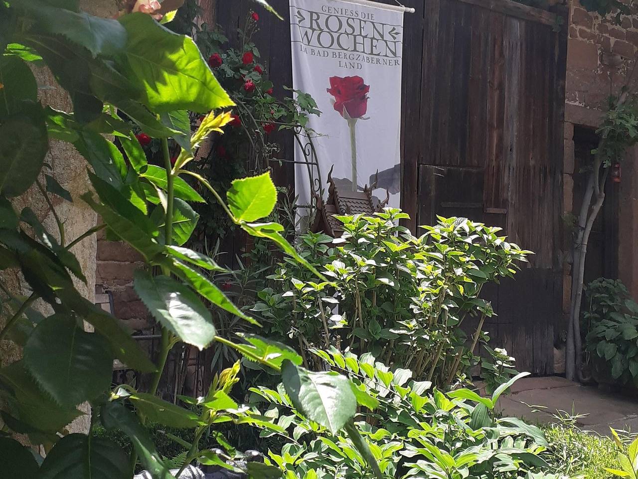 Ganze Ferienwohnung, Appartement Kastanienhof - Appartement/Fewo, Dusche, Wc, Nichtraucher in Dörrenbach, Südliche Weinstraße