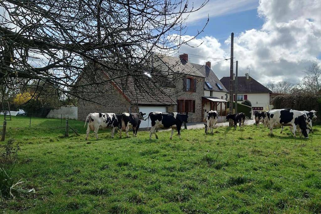 Gîte la Mer, à la campagne en Normandie, proche du Mont St Michel in Lolif, Côte de la Déroute