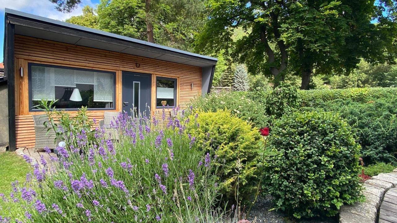 One-Bedroom House in Wernigerode, Harzvorland