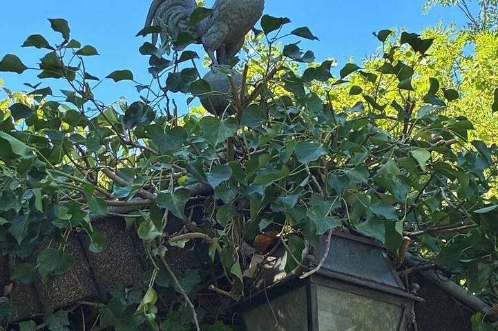 Ferienhaus für 8 Personen, mit Garten - 1