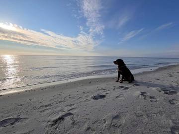 Feriehus til 5 Personer i Lyngså, Nordøst-Jylland, Bilde 3