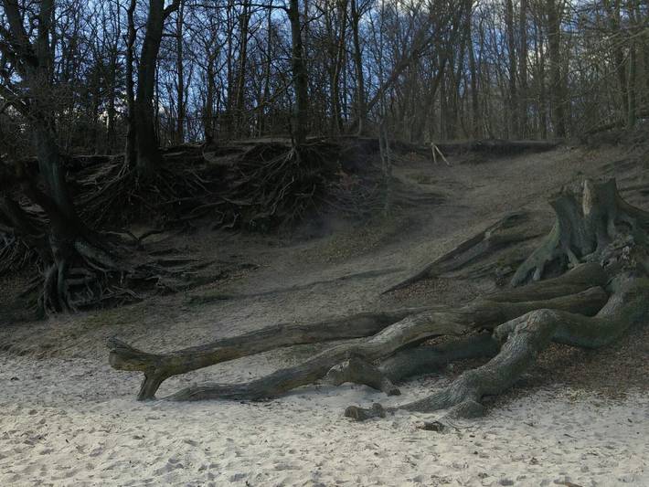 Ferienhaus für 8 Personen, mit Terrasse und Garten, kinderfreundlich in Skarrev - 3