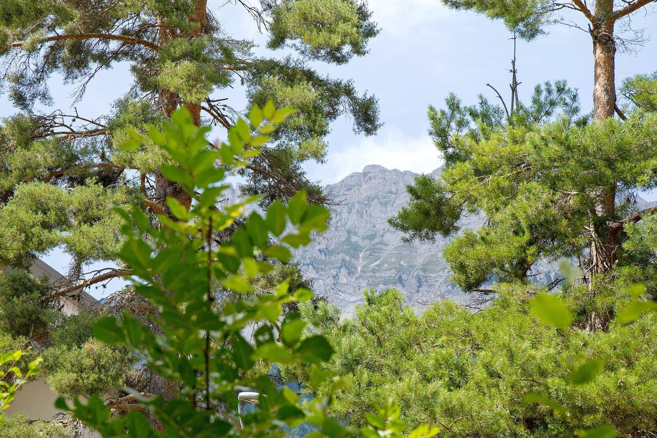 Appartement entier, Appartement « Les Centaurees » : Vue Montagne, Piscine Partagée, Jardin Privé in Gresse-en-Vercors, Parc naturel régional du Vercors