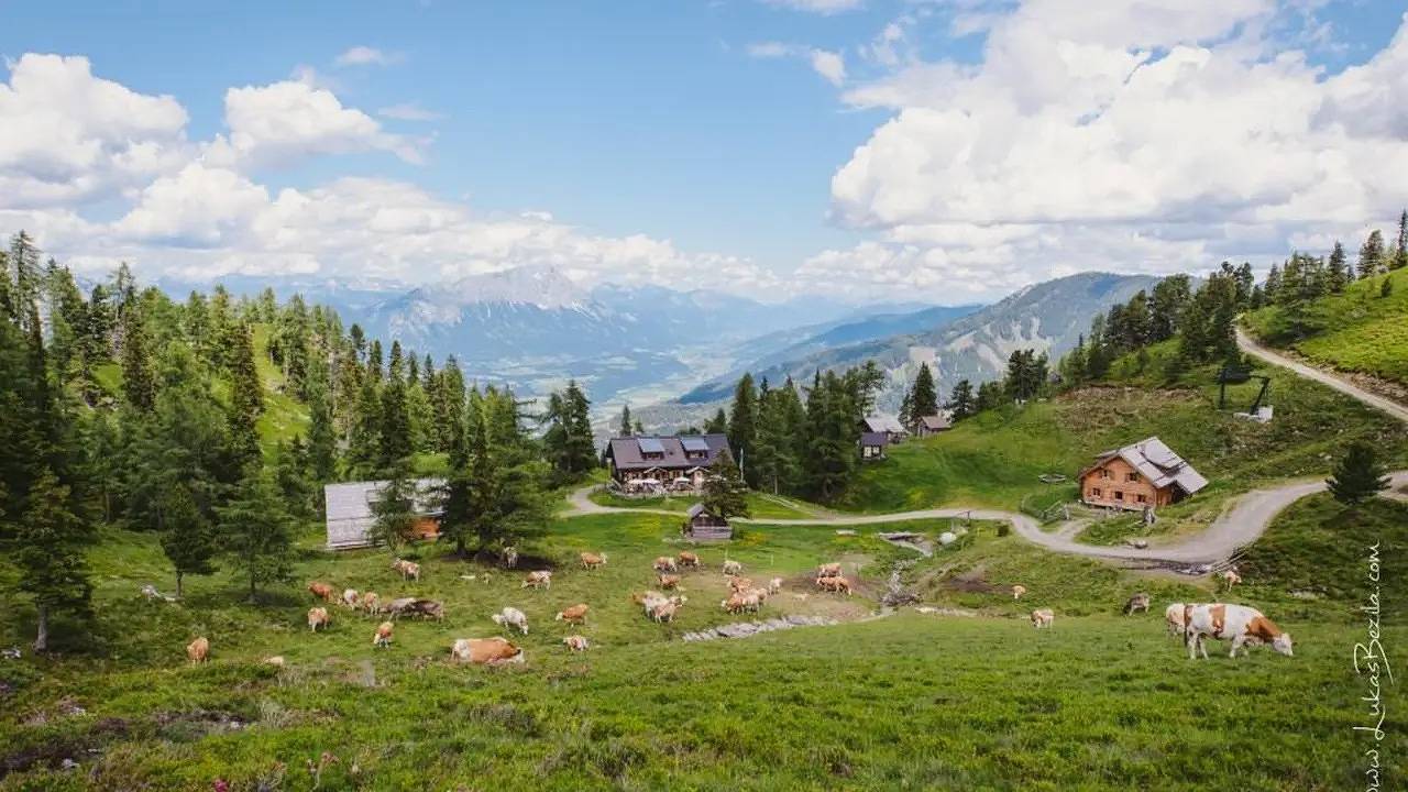 Ferienhaus für 14 Personen (140 m²) in Michaelerberg-Pruggern in Michaelerberg-Pruggern, Schladming-Dachstein
