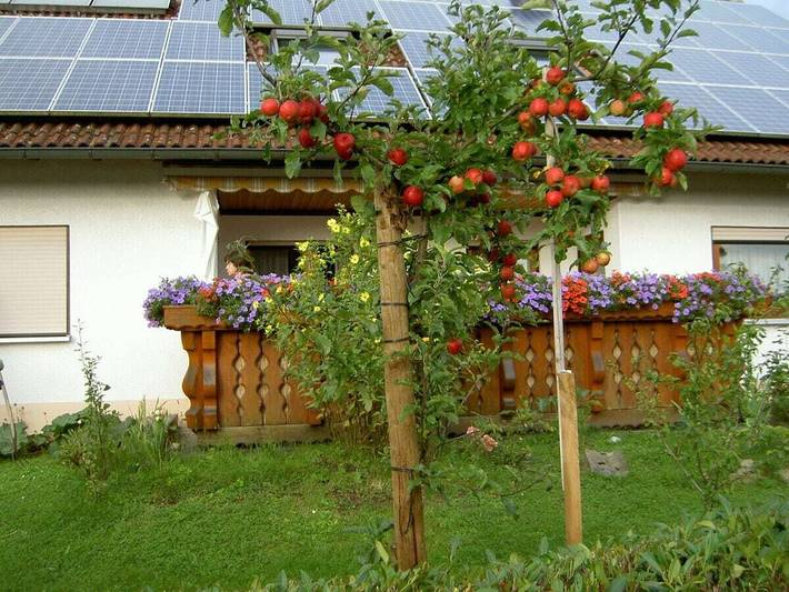 Ferienwohnung mit 1 Schlafzimmer in Bodolz, Bayerisch Schwaben