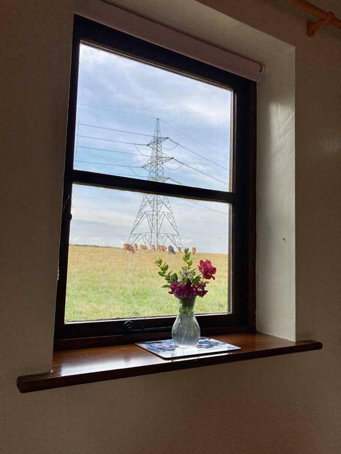 Entire apartment, One-Bedroom Apartment in Sherwood Forest, Nottinghamshire