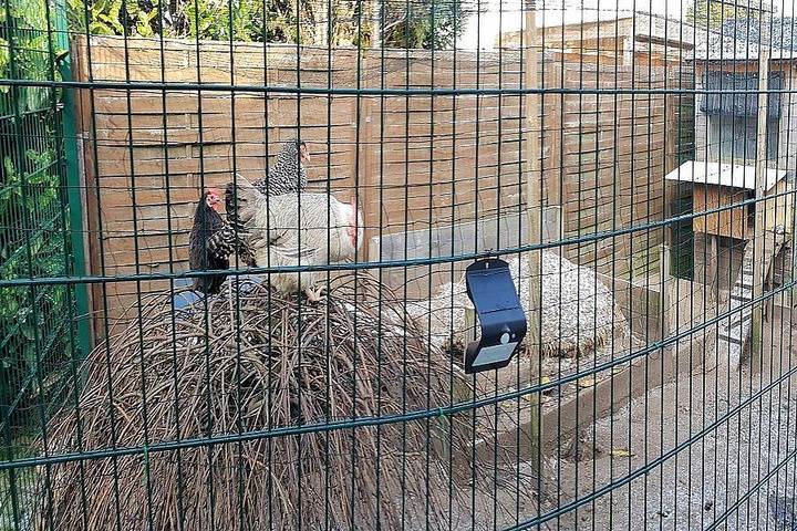 Ferienwohnung für 3 Personen, mit Terrasse, kinderfreundlich in Hanstedt - 2