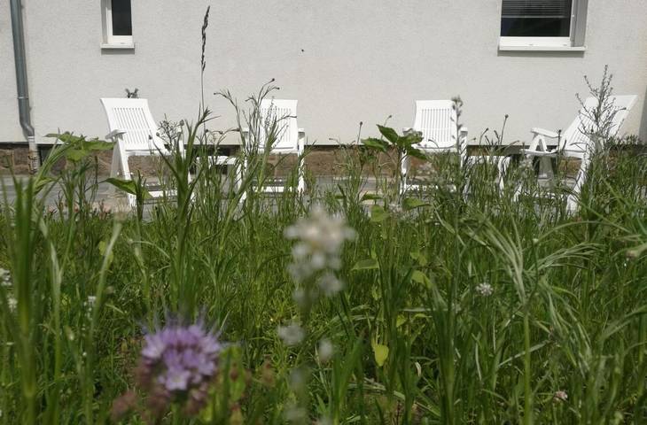 Ferienhaus für 7 Personen, mit Garten in Leipzig - 3