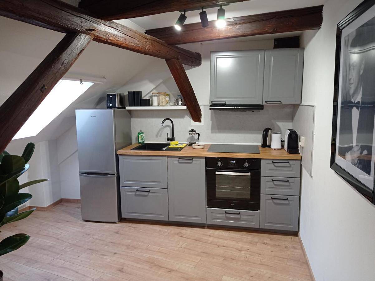 Ganze Wohnung, Wohlfühl-Oase in der Altstadt mit Wifi, Xl Badewanne, voll ausgestatteter Küche, Hunde ohne Aufpreis, 17 min zur Messe, 3 min zum Schloss in Delitzsch, Sächsisches Burgen- und Heideland