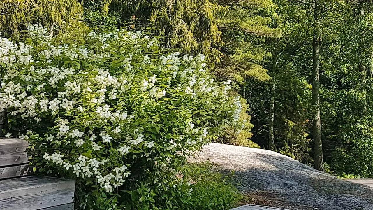 Ferienhaus für 4 Personen (60 m²) in Stavsnäs in Hölö, Fagelbrolandet