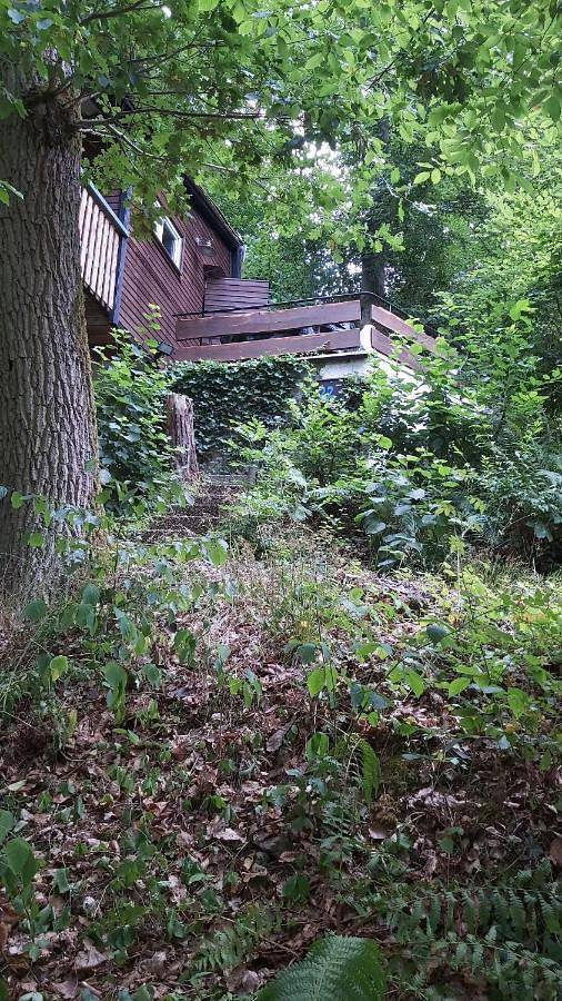 Ferienhaus für 3 Personen, mit Balkon und Terrasse sowie Garten und Ausblick in Vöhl - 3