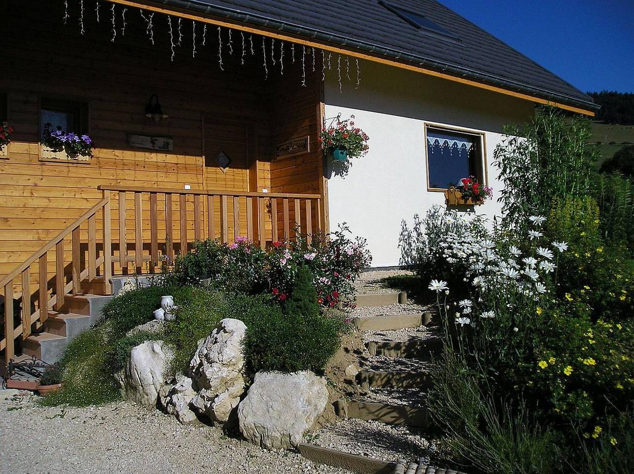 La fleur des neiges in Villard-de-Lans, Parc naturel régional du Vercors