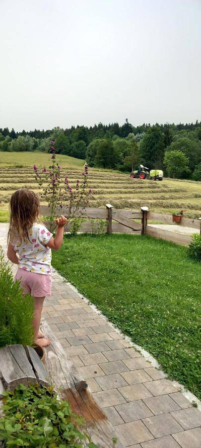 Ferienwohnung für 5 Personen, mit Garten und Ausblick sowie Balkon in Miesbach - 4