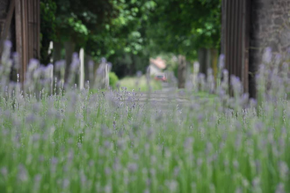 Ganze Wohnung, Erleben Sie eine Tour ..... in Feluy, Seneffe