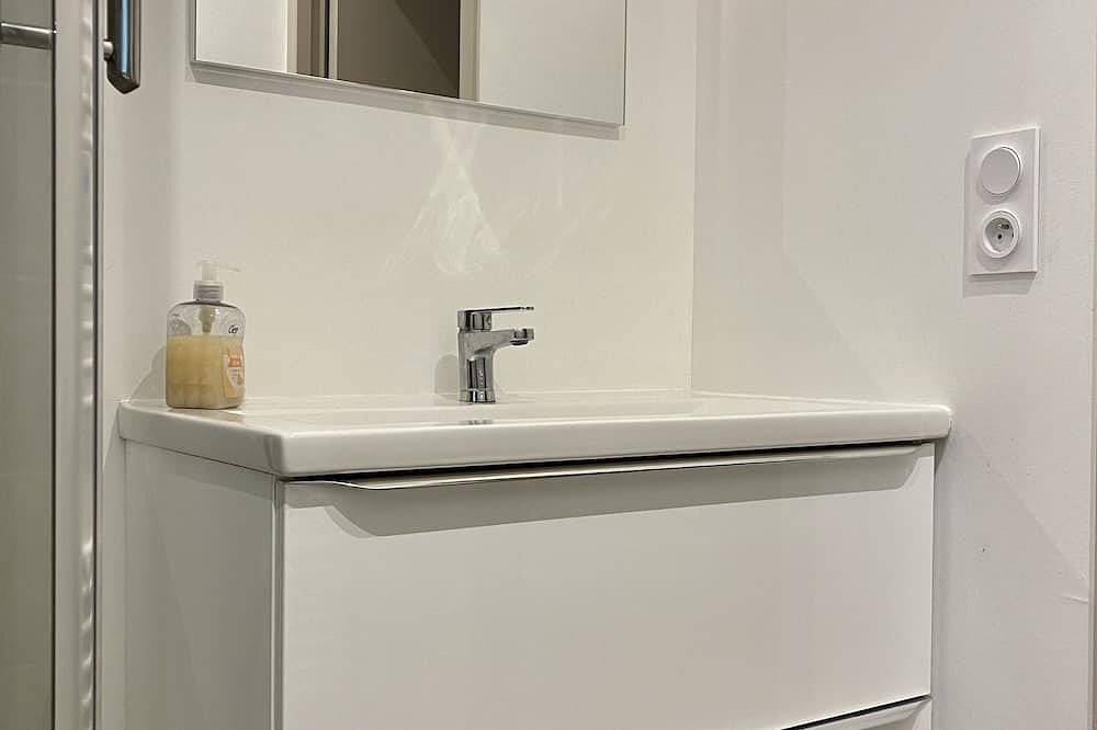 Ganze Wohnung, Apartment-Apartment-Stadtblick-Ensuite mit Dusche in Royat, Regionaler Naturpark Volcans d'Auvergne
