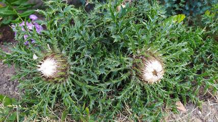 Ferienwohnung für 2 Personen in Hilders, Rhön-Hessen, Bild 3