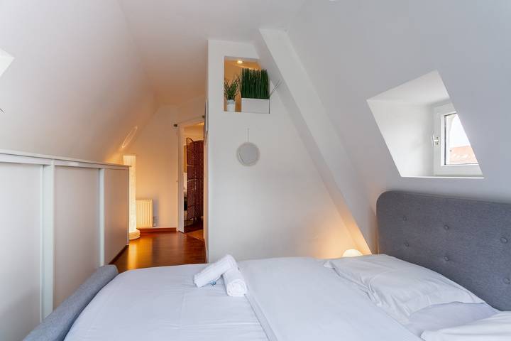 Entire apartment, Le Cocon Alsacien - Appt authentique coeur strasbourg in Strasbourg, Strasbourg region