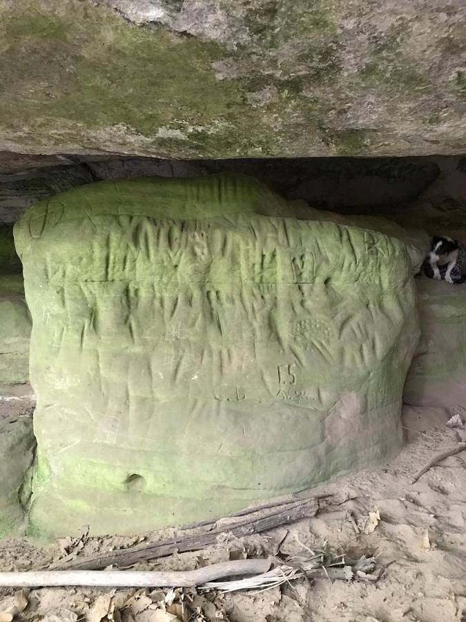 Location de vacances pour 4 personnes, avec terrasse et vue à Larchant - 4