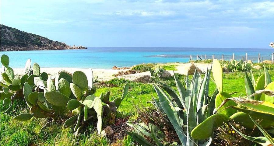 Gîte pour 2 personnes, avec vue et terrasse, animaux acceptés dans Tizzano - 4