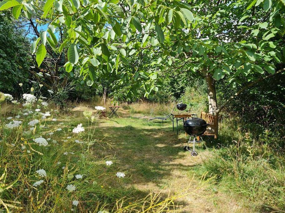 Naturnah in schönem Haus mit Garten und 10 Betten in Windeck, Windecker-Ländchen