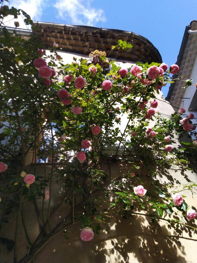 Location de vacances pour 2 personnes, avec vue et balcon à Aniane - 2