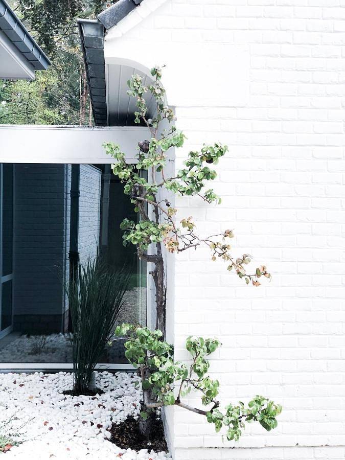 Gîte pour 2 personnes, avec vue et jardin à Wavre - 4