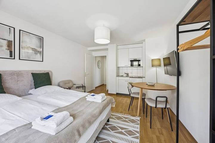 Ganze Wohnung, Wifi / Smart Tv / City Centre / Queen Bed in Zürich, Bezirk Zürich