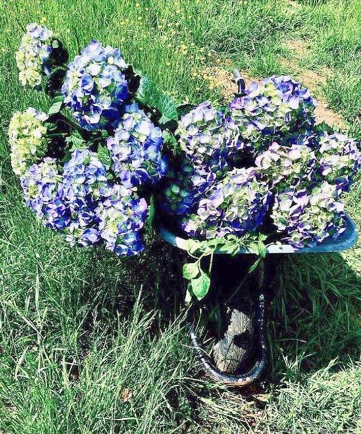 Chambre d’hôte pour 3 personnes, avec terrasse et jardin, animaux acceptés à Semur-en-Auxois - 4