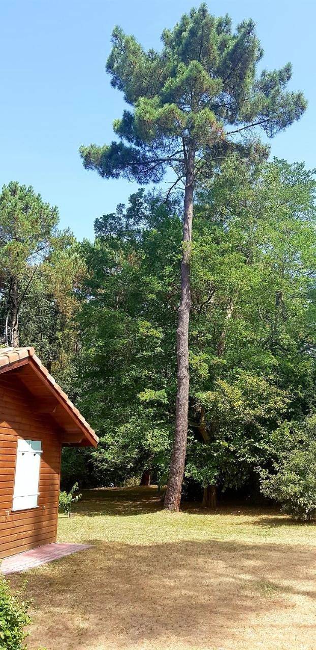 Chalet Saint Julien en Born in Saint-Julien-en-Born, Côte d’Argent