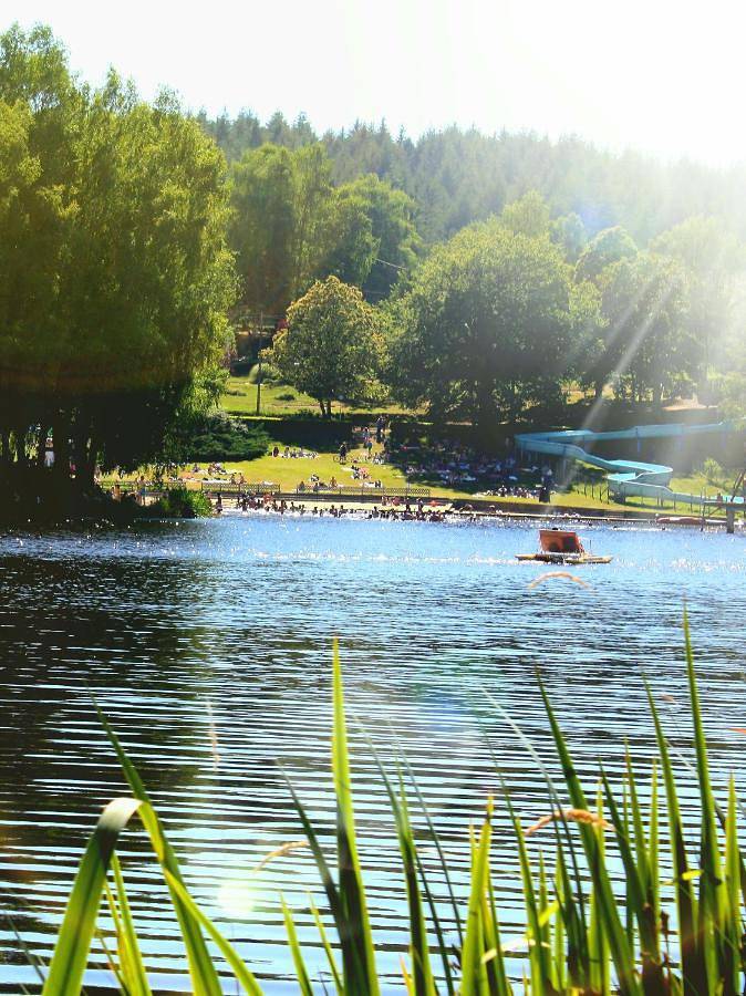 Location de vacances pour 7 personnes, avec vue ainsi que vue sur le lac et jardin, animaux acceptés à Saint-Hilaire-les-Places - 3