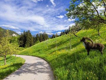Bauernhaus für 2 Personen in Bischofswiesen, Bayerische Alpen, Bild 4