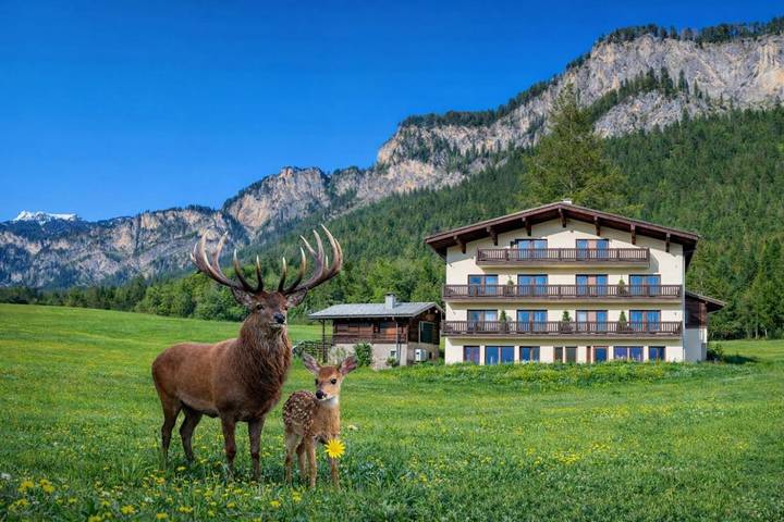 Maison d’hôte pour 2 personnes, avec sauna ainsi que jardin et vue