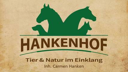 Ferienwohnung für 4 Personen, mit Terrasse und Garten, kinderfreundlich in Filsum