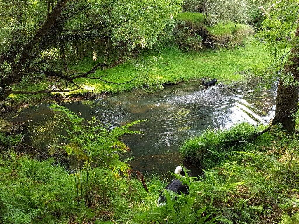 Ganze Wohnung, Ziehen Sie sich auf die Farm zurück und genießen Sie den einheimischen Busch und Bach. in Manawatu-Wanganui
