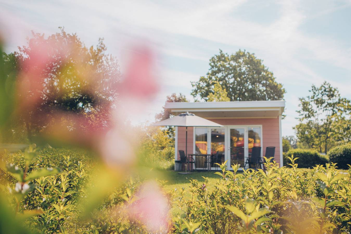 Vakantiepark voor 4 Personen in Veluwe