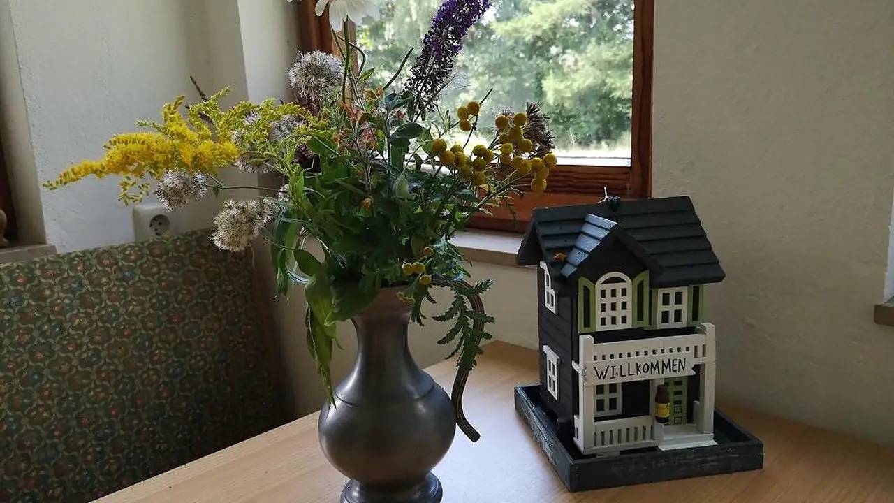 Ganze Ferienwohnung, Ferienwohnung für 3 Personen (42 m²) in Neuenkirchen in Neuenkirchen (Lüneburger Heide), Landkreis Heidekreis
