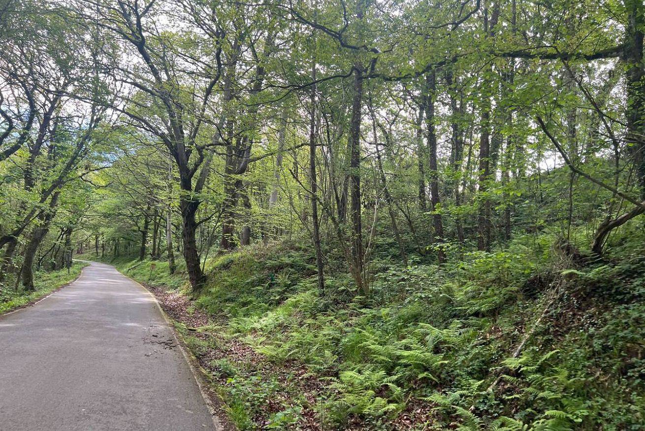 Vakantieappartement voor 3 personen, foto 7