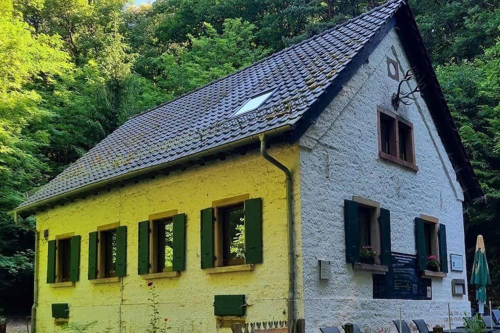 Ganze Wohnung, Charlottes Waldresidenz in Deidesheim, Deutsche Weinstraße