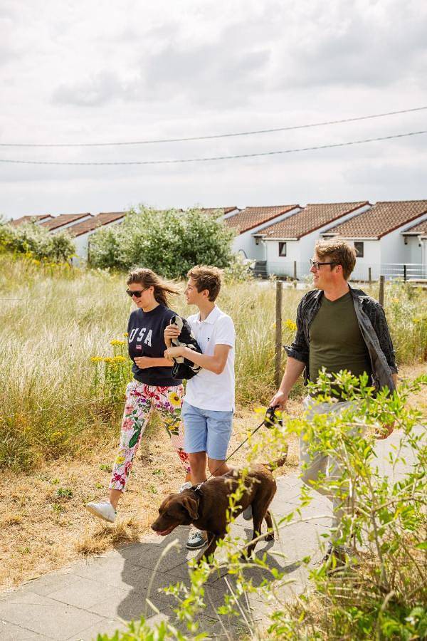 Bungalow für 6 Personen, mit Terrasse und Garten sowie Pool, mit Haustier in Belgische Küste - 2