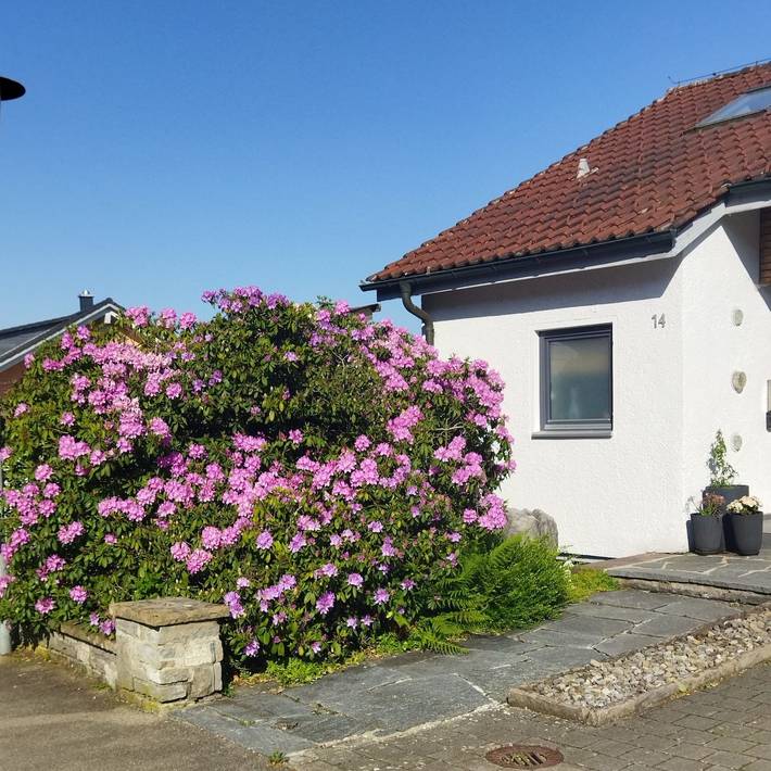 Ferienwohnung für 3 Personen, mit Terrasse und Ausblick in Leutkirch im Allgäu - 3