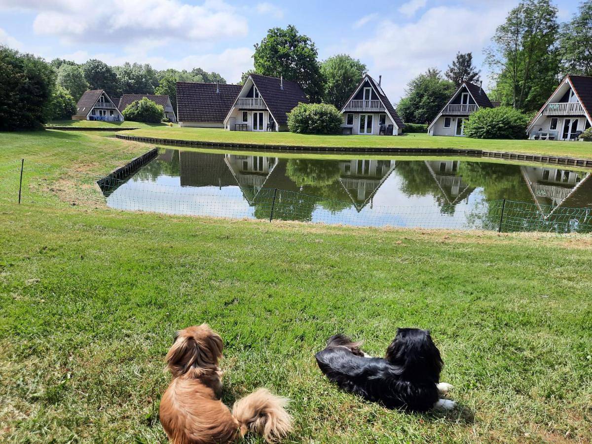 De Gouwe, 158 - aan visvijver, de beste visstek in Gramsbergen, Hardenberg
