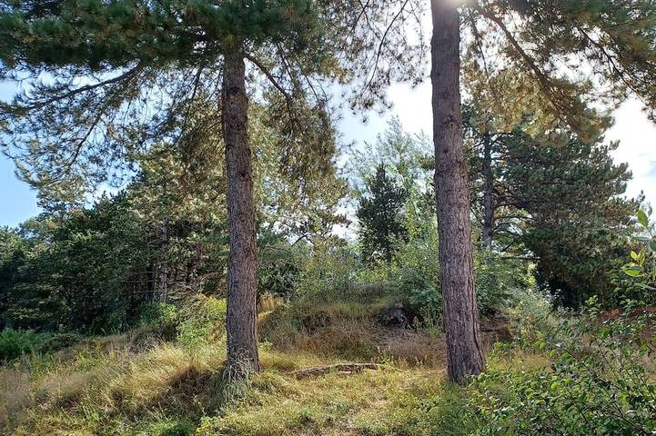 Ferienwohnung für 4 Personen, mit Whirlpool und Sauna sowie Garten und Pool, mit Haustier - 1