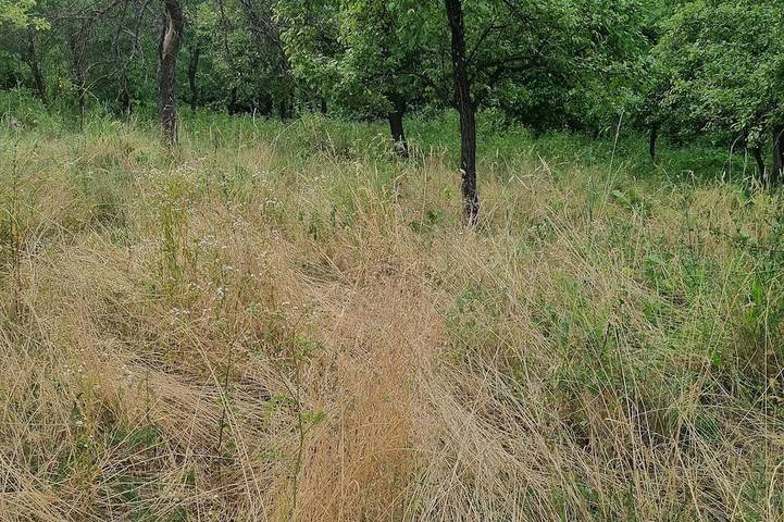 Agriturismo per 4 persone, con giardino in Parco nazionale d’Abruzzo