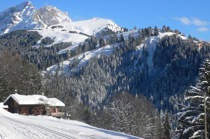 Maison de vacances pour 8 personnes, avec jardin - 1