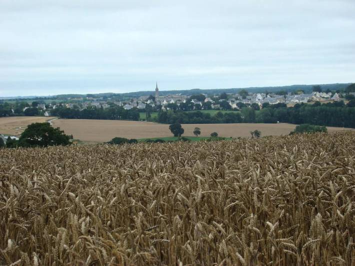 Location de vacances pour 6 personnes, avec jardin à Hénanbihen - 4