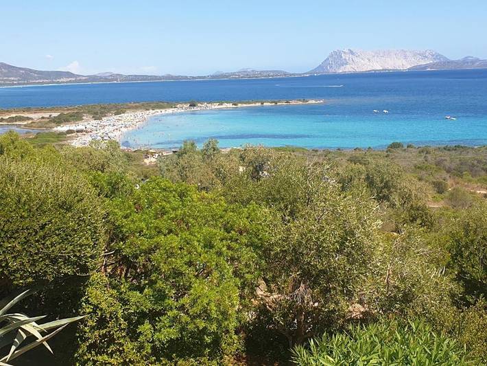 Ferienhaus für 6 Personen, mit Seeblick und Ausblick sowie Garten in Lu Miriacheddu - 4