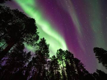 Chalet pour 6 Personnes dans Inari, Photo 4