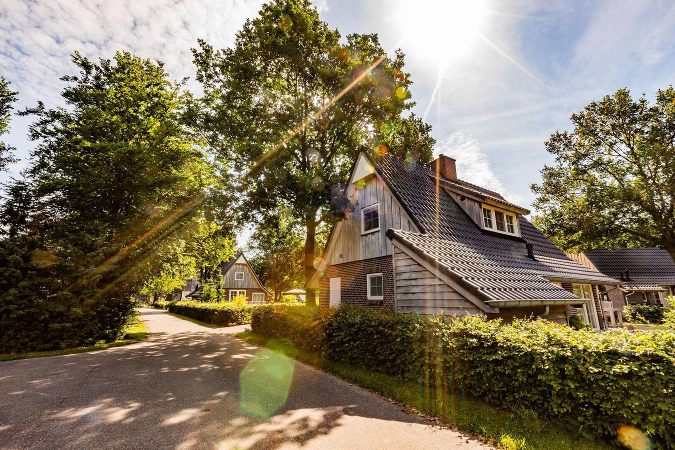 Hof van Salland Parkbeheer B.V. — Villa Beukelaer Comfort | 4 Personen in Hellendoorn, Sallandse Heuvelrug