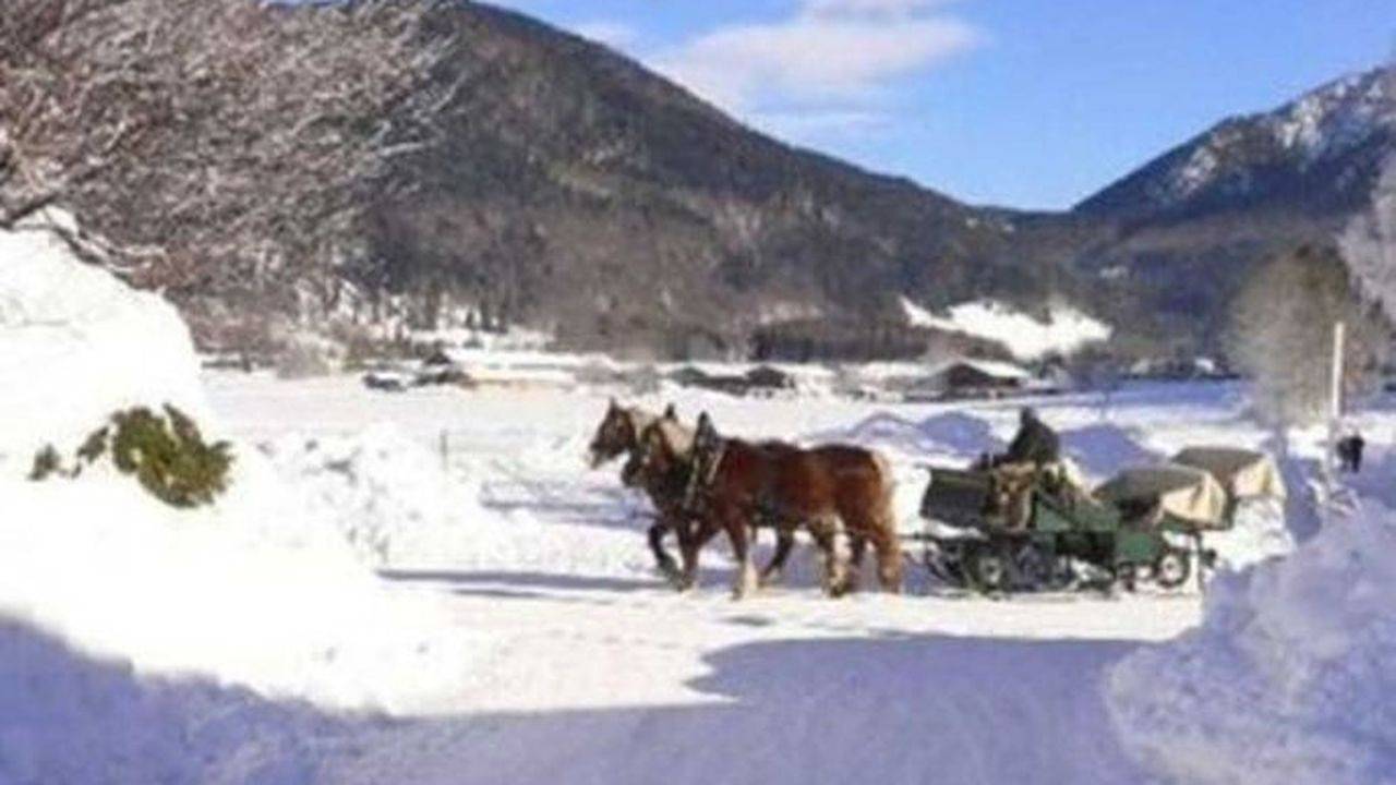 Appartamento intero, Ferienwohnung für 2 Personen (50 m²) in Rottach-Egern in Sonnenmoos, Rottach-Egern