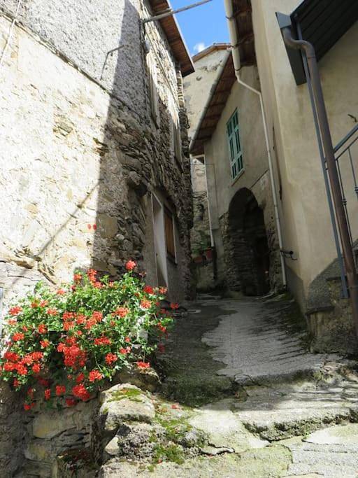 Gîte pour 6 personnes, avec balcon et vue, animaux acceptés à Triora - 3